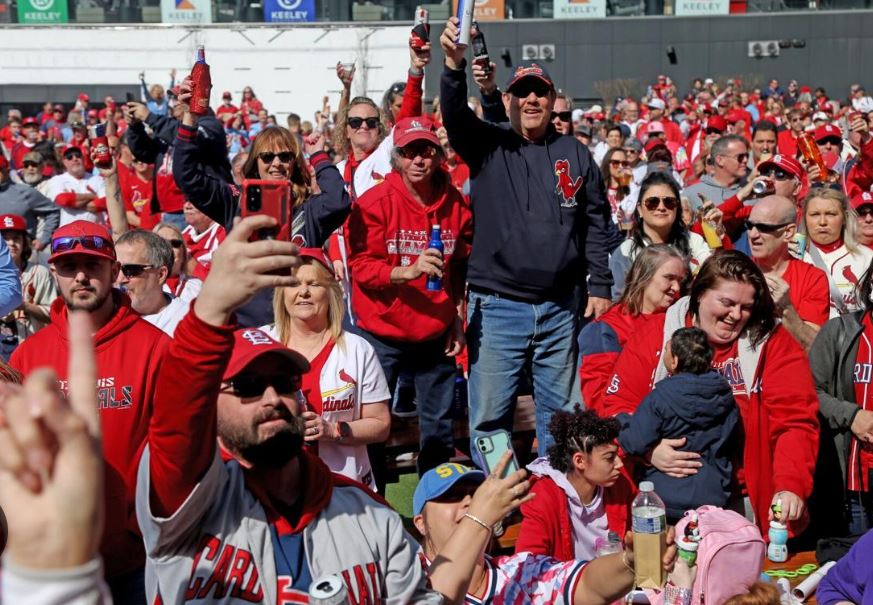 st cards fans